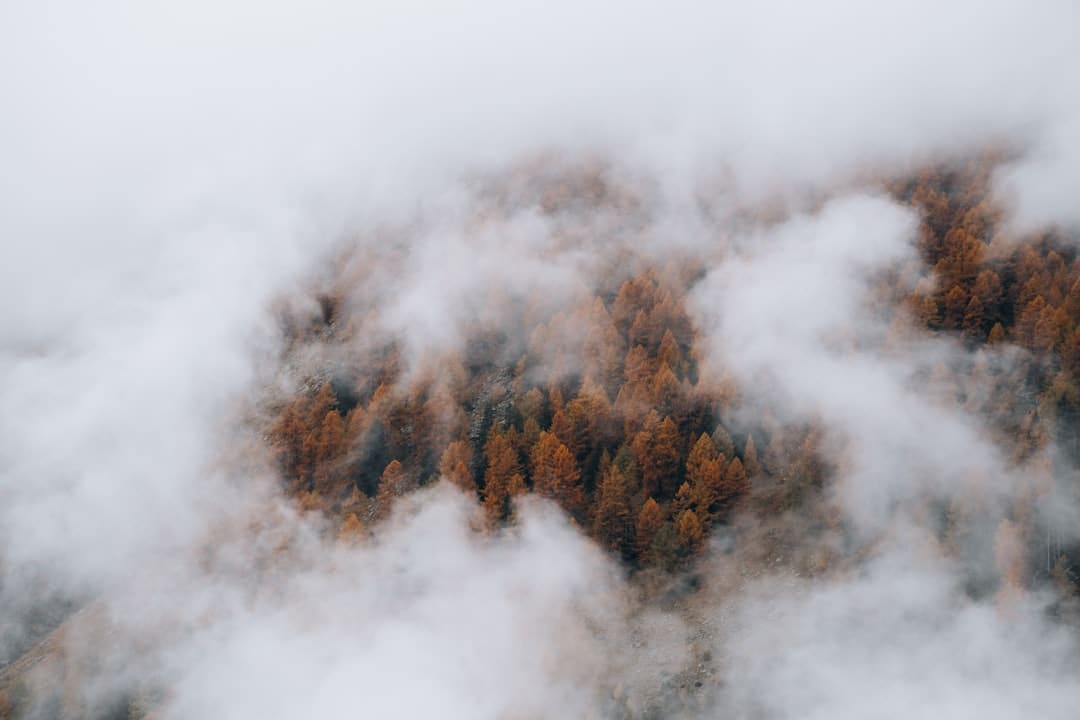 http://n.sinaimg.cn/news/transform/w600h400/20180315/26zC-fyshqac3234283.jpg?zdy